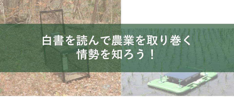 白書を読んで農業を取り巻く情勢を知ろう!