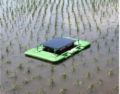 farmer1.jpg