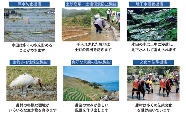 学生・多面的機能
