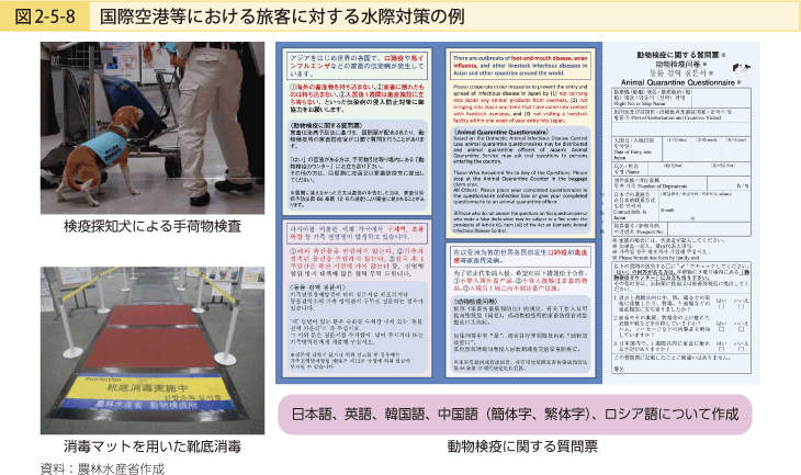 図2-5-8 国際空港等における旅客に対する水際対策の例