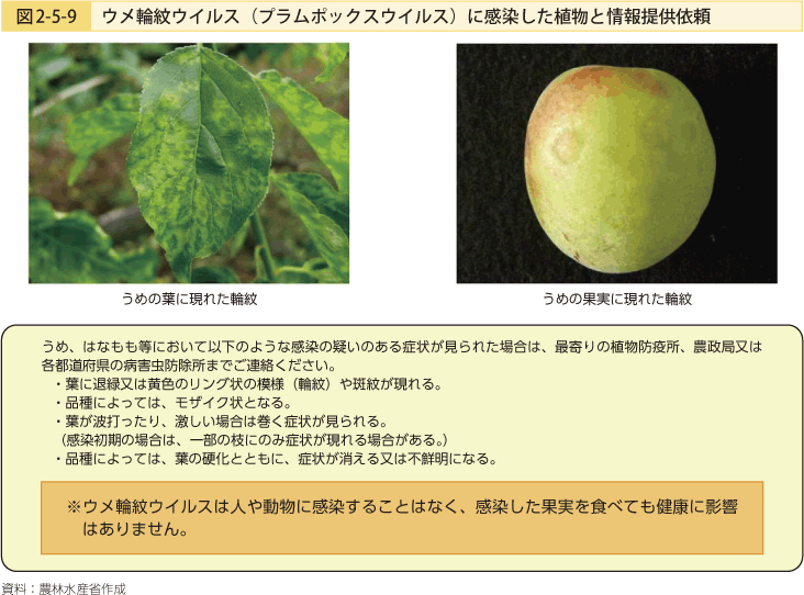 図2-5-9 ウメ輪紋ウイルス(プラムポックスウイルス)に感染した植物と情報提供依頼