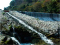 立梅用水（三重県多気町他）