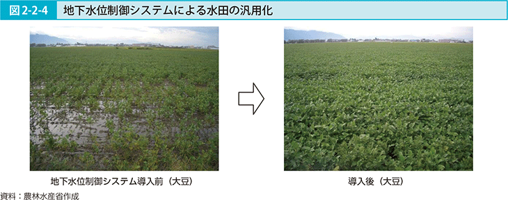図2-2-4 地下水位制御システムによる水田の汎用化