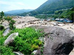 台風第8号に伴う大雨により岩、流木が散乱した田耕地（長野県）