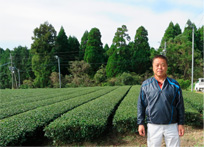 邉田孝一さんと自社茶園