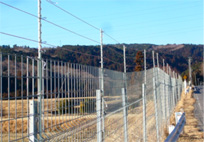複数獣種に対応した防護柵（上段がサル用電気柵下段がシカ・イノシシ用ワイヤーメッシュ柵)