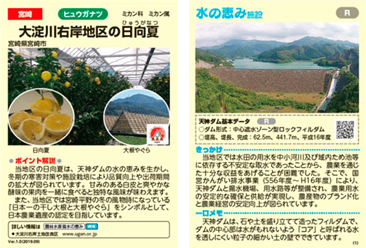 令和元（2019）年度に作成された水の恵みカード「大淀川右岸地区の日向夏」（宮崎県宮崎市）