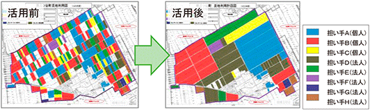 分散錯圃の解消