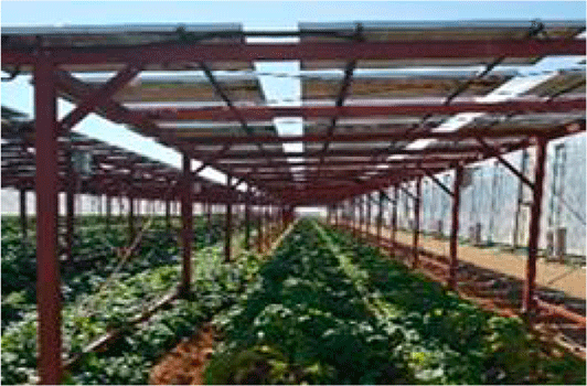 電気代の削減が可能な営農型太陽光発電設備