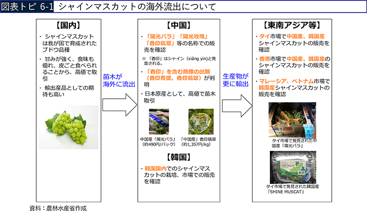 図表トピ6-1 シャインマスカットの海外流出について