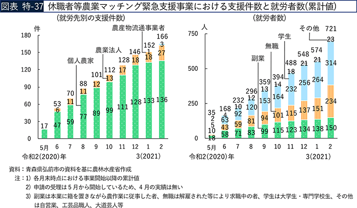 図表 特-37 休職者等農業マッチング緊急支援事業における支援件数と就労者数（累計値）