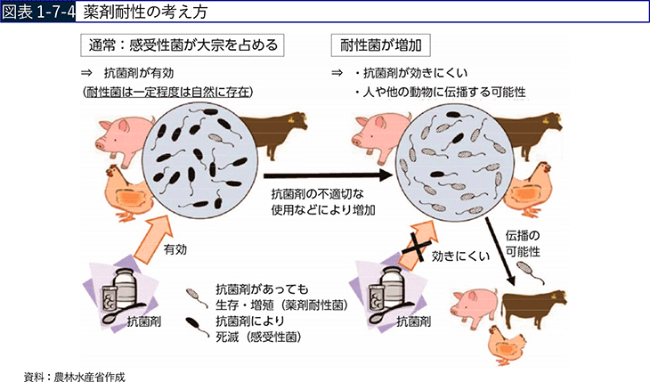 図表1-7-4 薬剤耐性の考え方