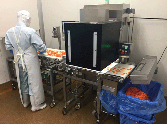 AIを活用した食品原料検査装置