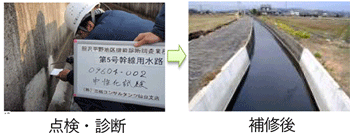 基幹的水路の補修