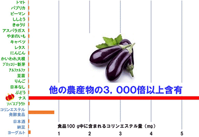 食品100g中に含まれるコリンエステル量（mg）