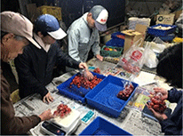 出荷準備の様子