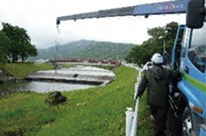 重機を使った特定外来生物の駆除