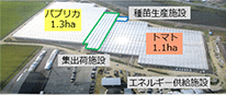 次世代施設園芸宮城県拠点