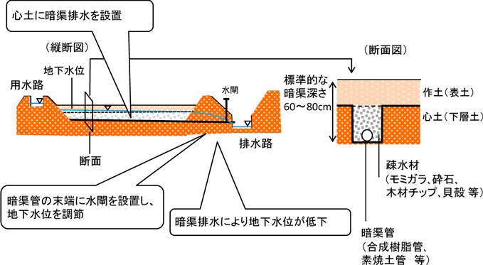 暗渠排水