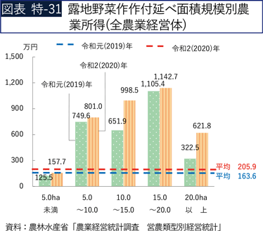 図表 特-31 露地野菜作作付延べ面積規模別農業所得（全農業経営体）