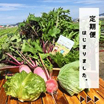 SNSに掲載した宣伝用の写真