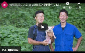 抗菌剤に頼らない養豚生産の取組（優良事例動画）