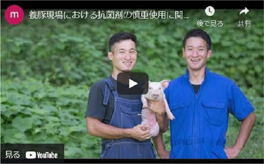 抗菌剤に頼らない養豚生産の取組（優良事例動画）