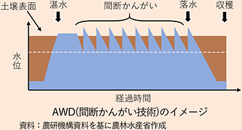 AWD（間断かんがい技術）のイメージ