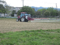 定植後の病害虫防除作業の様子
