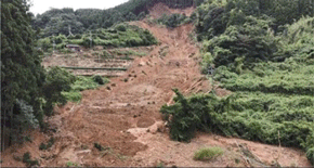 茶園の崩落（佐賀県）（令和3年8月の大雨）