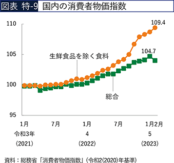図表 特-9 国内の消費者物価指数