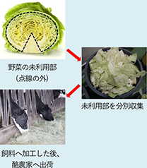 野菜未利用部の有効活用の流れ