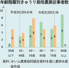 年齢階層別きゅうり栽培農業従事者数