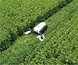 電動草刈機