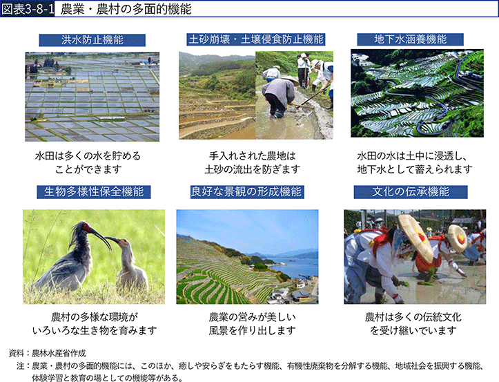 図表3-8-1 農業・農村の多面的機能 図表3-8-1 農業・農村の多面的機能