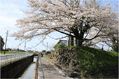 寺谷用水(静岡県磐田市)