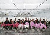 有限会社花匠