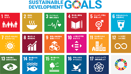 sustainable development goals sustainable development goals