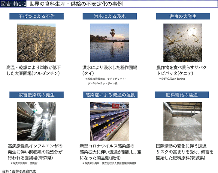 図表 特1-1 世界の食料生産・供給の不安定化の事例 図表 特1-1 世界の食料生産・供給の不安定化の事例