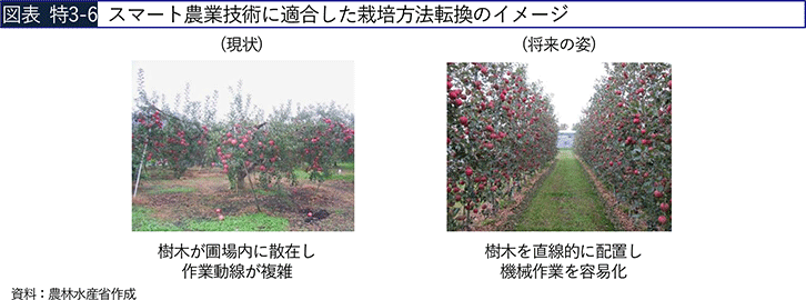 図表 特3-6 スマート農業技術に適合した栽培方法転換のイメージ 図表 特3-6 スマート農業技術に適合した栽培方法転換のイメージ