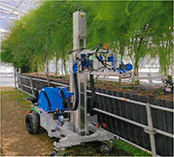 アスパラガスの自動収穫ロボット アスパラガスの自動収穫ロボット