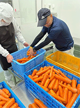 学校給食に地場産野菜を供給する農業者