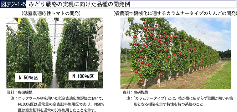 図表2-1-5 みどり戦略の実現に向けた品種の開発例 図表2-1-5 みどり戦略の実現に向けた品種の開発例
