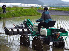乗用型除草機による雑草防除 乗用型除草機による雑草防除
