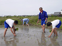 中学生による田植体験 中学生による田植体験
