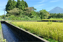 北山用水(静岡県富士宮市) 北山用水(静岡県富士宮市)