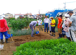 都市住民でにぎわう農業体験農園(東京都) 都市住民でにぎわう農業体験農園(東京都)