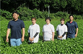 株式会社枦川製茶