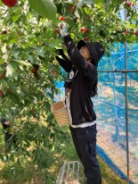 企業で働く人が農作業に参加するプログラムを通じて、農繁期の人手不足解消を推進