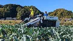 ブロッコリー収穫機 ブロッコリー収穫機